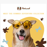 Natural Dog Company  email thumbnail