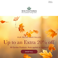 White Stores email thumbnail