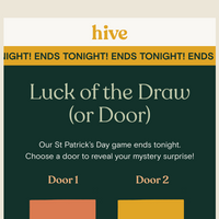 Hive Brands email thumbnail