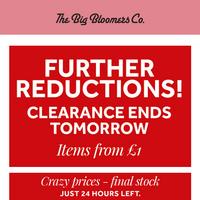 The Big Bloomers Company email thumbnail