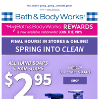 Bath and Body Works email thumbnail