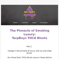 TerpBoys LLC email thumbnail