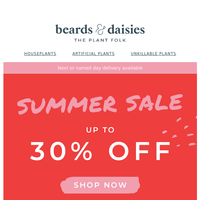 Beards & Daisies email thumbnail