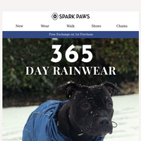 Spark Paws email thumbnail