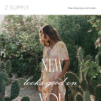 Z SUPPLY email thumbnail