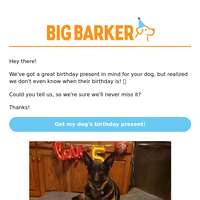 Big Barker email thumbnail