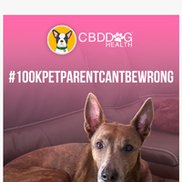 CBD Dog Health email thumbnail