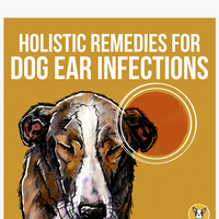 CBD Dog Health email thumbnail