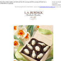 L.A. Burdick Chocolate email thumbnail