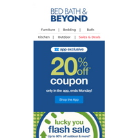 Bed Bath and Beyond email thumbnail