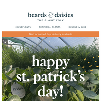 Beards & Daisies email thumbnail