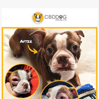 CBD Dog Health email thumbnail