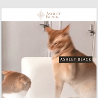 Ashley Black Guru email thumbnail