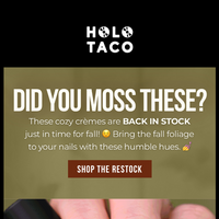 Holo Taco email thumbnail