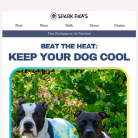 Spark Paws email thumbnail