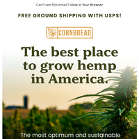 Cornbread Hemp email thumbnail