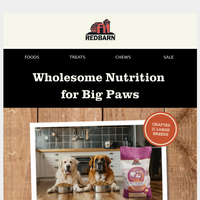 Redbarn Pet Products email thumbnail