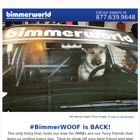 BimmerWorld email thumbnail