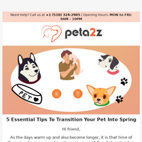 Peta2z email thumbnail