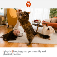 Banfield Pet Hospital email thumbnail