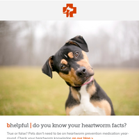 Banfield Pet Hospital email thumbnail