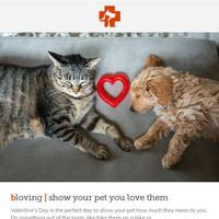 Banfield Pet Hospital email thumbnail