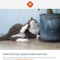 Banfield Pet Hospital email thumbnail