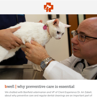 Banfield Pet Hospital email thumbnail