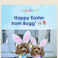 Bogg Bags email thumbnail