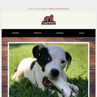 Redbarn Pet Products email thumbnail