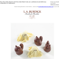 L.A. Burdick Chocolate email thumbnail