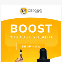 CBD Dog Health email thumbnail