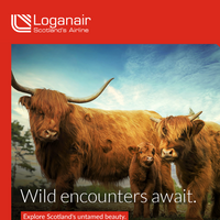 Loganair email thumbnail