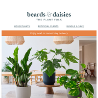 Beards & Daisies email thumbnail