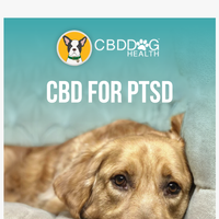 CBD Dog Health email thumbnail