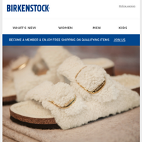 Birkenstock email thumbnail