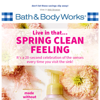 Bath and Body Works email thumbnail