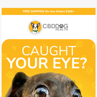 CBD Dog Health email thumbnail