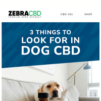 ZebraCBD email thumbnail