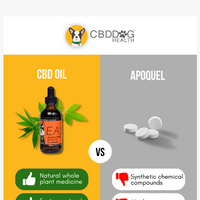 CBD Dog Health email thumbnail