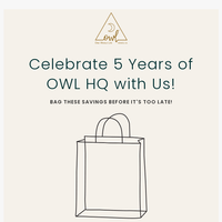 OWL Venice email thumbnail