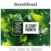 Room & Board email thumbnail