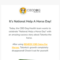 CBD Dog Health email thumbnail