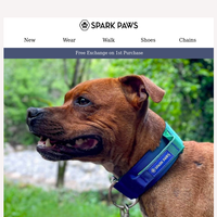 Spark Paws email thumbnail