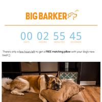 Big Barker email thumbnail