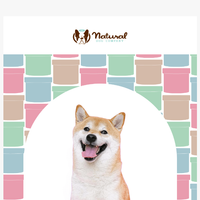 Natural Dog Company  email thumbnail