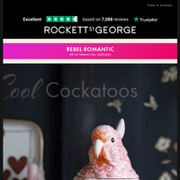 Rockett St George email thumbnail