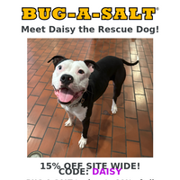 Bug-A-Salt email thumbnail