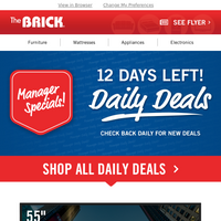 The Brick email thumbnail