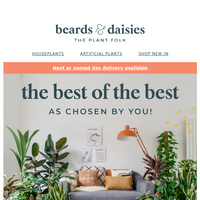 Beards & Daisies email thumbnail